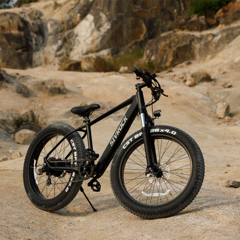 Durable Electric Mountain Bike with 7 Speeds, Dual Disc Brakes, and FrExperience the ultimate off-road adventure with this high-performance 1000W Electric Mountain Bike. Designed for adults, this bike features a powerful 48V lithium-ioLibre Tienda7 Speeds, Dual Disc Brakes,